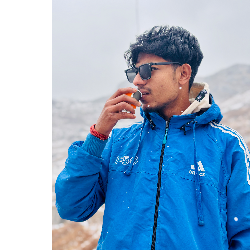 Subhankar Sarkar-Freelancer in Phulia,India