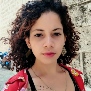 Sandra Refeca-Freelancer in Foz do Iguaçu,Brazil