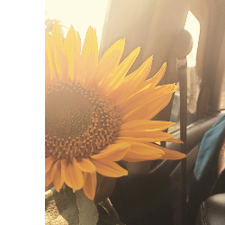 Palak Sahu-Freelancer in Chhindwara,India