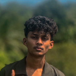 Nelusha Dineth-Freelancer in Nittabuwa,Sri Lanka