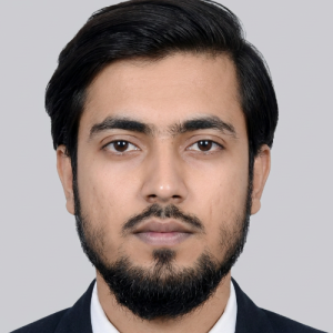 Ameer Hamza Lodhi-Freelancer in Ranchi,India