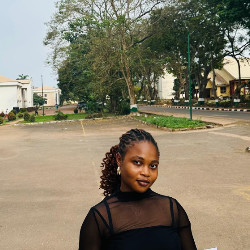 Chibugo Favour-Freelancer in Suleija, Abuja,Nigeria