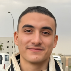 Omar Hesham-Freelancer in ,Egypt