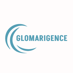 Glomarigence Privatelimited-Freelancer in Delhi,India