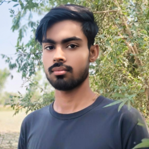 Himanshu Awasthi-Freelancer in Hardoi,India