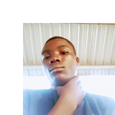 Adedeji  Daniel-Freelancer in Lagos,Nigeria