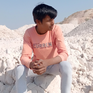 Dinesh Goswami-Freelancer in Pithrasar,India