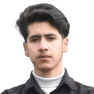 Hifzan Bhatti-Freelancer in Jammu,India
