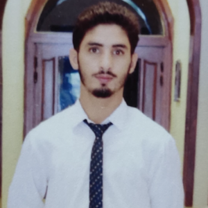 Muhammad Sufyan-Freelancer in Faisalabad,Pakistan