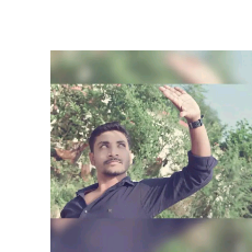 Vishal Prajapati-Freelancer in Khairagarh,India