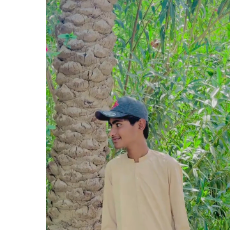 Sahil Alyy-Freelancer in Rukrani Sahita,Pakistan