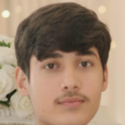 Muhammad Asif-Freelancer in Multan,Pakistan