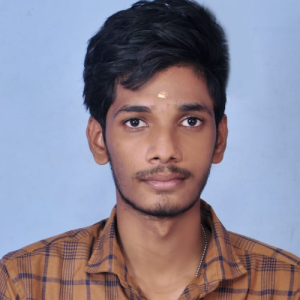 Naveenkumar-Freelancer in Chennai,India