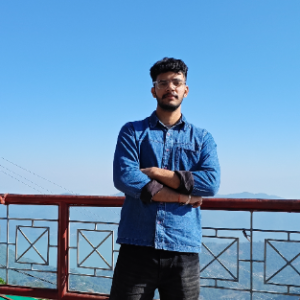 Ashu Thanik-Freelancer in Ludhiana,India