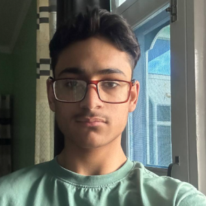 Adeem Sheikh-Freelancer in Srinagar,India