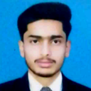 Rao Mustaqim-Freelancer in Multan,Pakistan