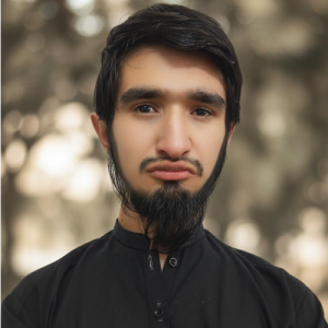 SANAULLAH-Freelancer in Dir Upper,Pakistan