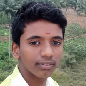 Mohanarajan-Freelancer in Kallakurichi,India