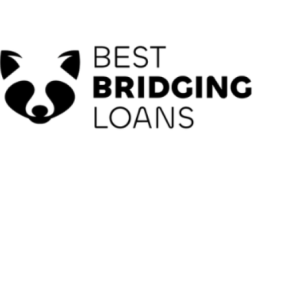Bridgingloans-Freelancer in Bristol, UK,India