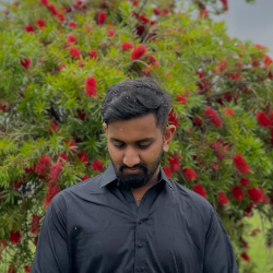 Muhammad Abbas-Freelancer in Islamabad,Pakistan