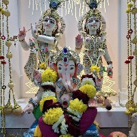 Krishna Pradip-Freelancer in Surat,India