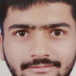 anurag anand-Freelancer in Greater Noida,India