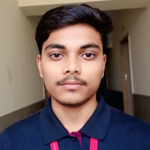 Binay kumar Kurmi-Freelancer in Roorkee,India