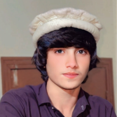 Muhammad Rayan-Freelancer in Lahore,Pakistan