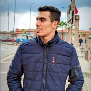 Mohamed Abdelgawad-Freelancer in ,Egypt