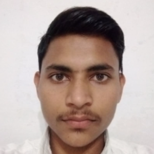 RAVI KUMAR AHIRWAR-Freelancer in PANNA,India