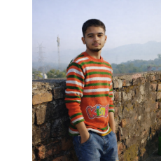 Danish Chauhan-Freelancer in Reru Jhiri Wala,India