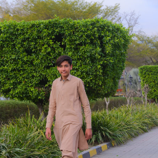Syed Laaraib Abbas-Freelancer in Chakwal,Pakistan