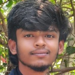 Reethisraj S-Freelancer in Tiruppur,India
