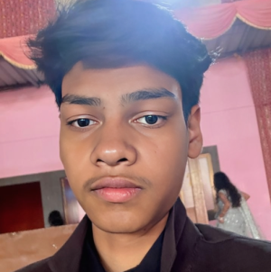 Divuik Uikey-Freelancer in Betul,India