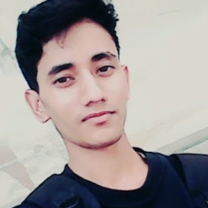 Hemant Singh-Freelancer in New Delhi,India