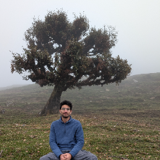 Aryan Tyagi-Freelancer in Ghaziabad,India