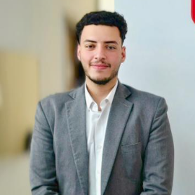 Mohamed Aladwash-Freelancer in ,Egypt