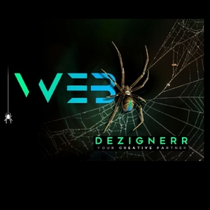WebDezignerr-Freelancer in ,USA