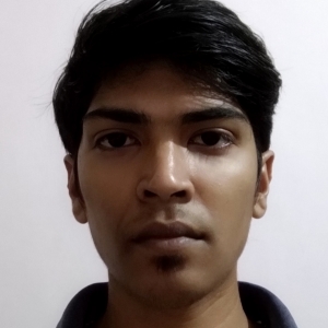 Vivek Jagdish Prajapati-Freelancer in ,India