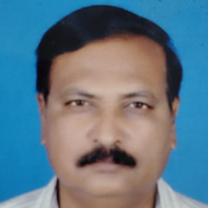 Mallikarjuna Singh-Freelancer in Hyderabad,India