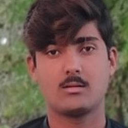 Yousaf-Freelancer in Layyah,Pakistan