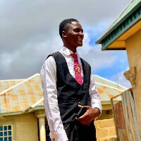 Promised Matthew-Freelancer in Kaduna North,Nigeria