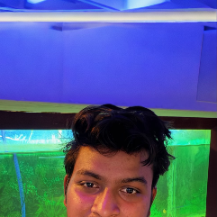 Akash Chandra Pradhan-Freelancer in Berhampur, Odisha,India