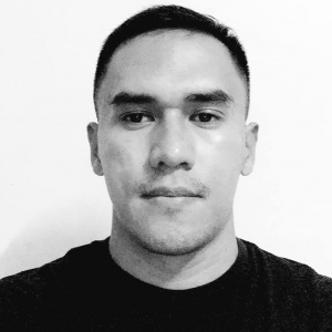 Stephen Jay Quinio-Freelancer in X,Philippines