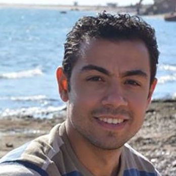 Mohamed Hussein-Freelancer in Cairo,Egypt