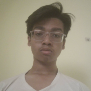 Debangshu Nath-Freelancer in Bhubaneswar,India