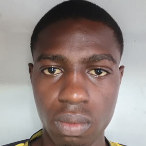 Hassan Ahmada khatib-Freelancer in Dar es Salaam,Tanzania