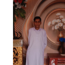 Ali Haider-Freelancer in Chak 41 JB Satiana,Pakistan