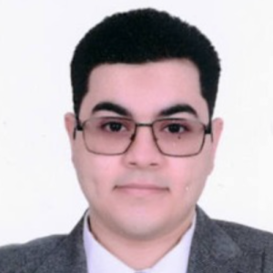 Ahmed Ashraf Nasr-Freelancer in Cairo,Egypt