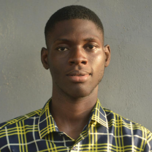 Olugbenga Oluwatokun-Freelancer in ,Nigeria